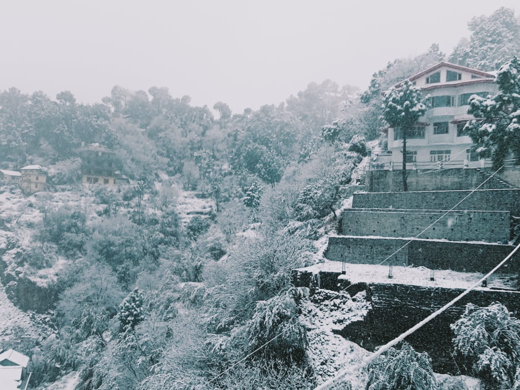 Investment in Himachal